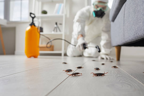 Commercial Kitchen Cockroach Control in Wagner